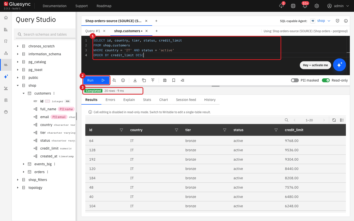 Editor with the filter query marked 1