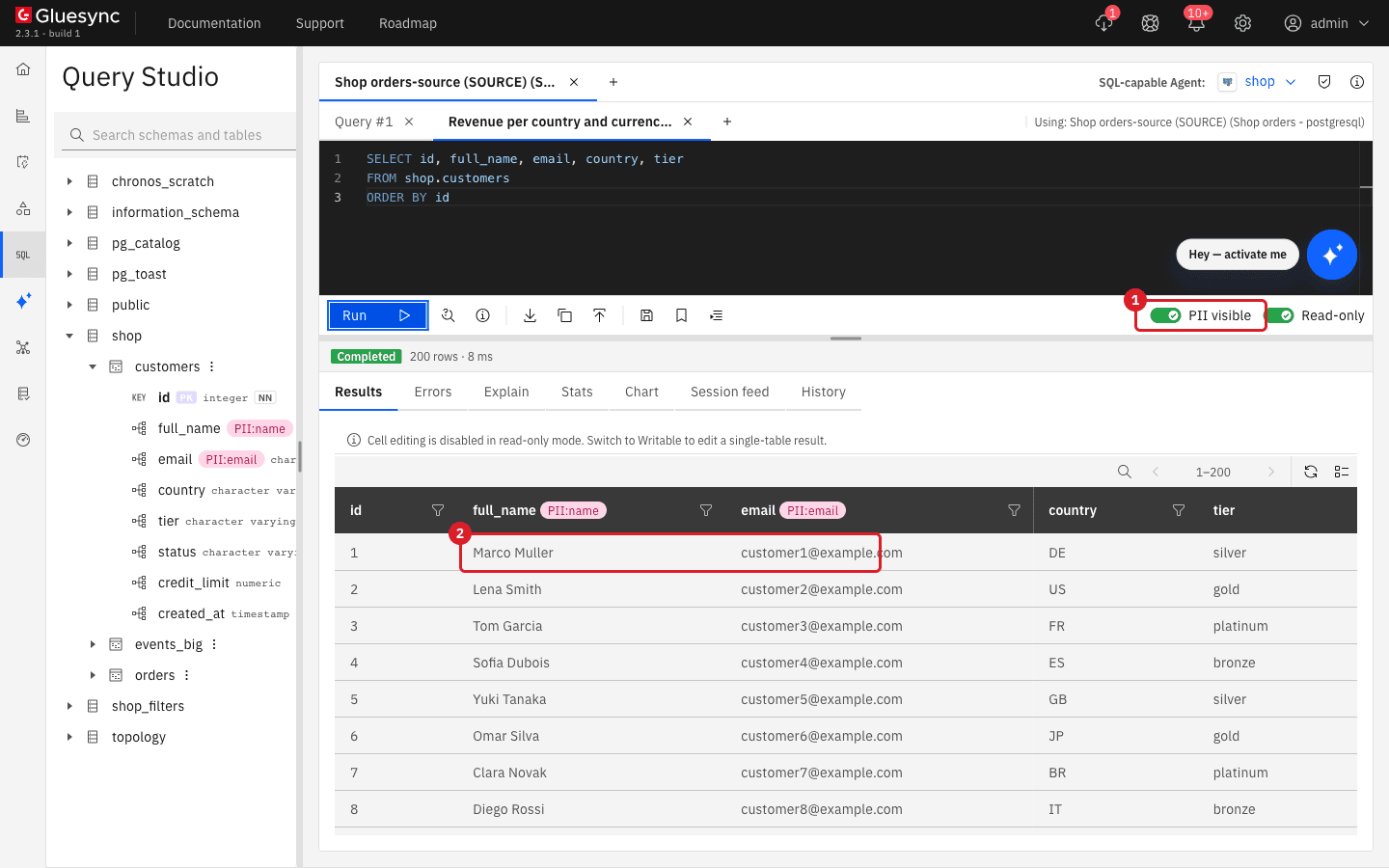Customer result with the PII visible toggle marked 1 and the full names and e-mail addresses shown in clear