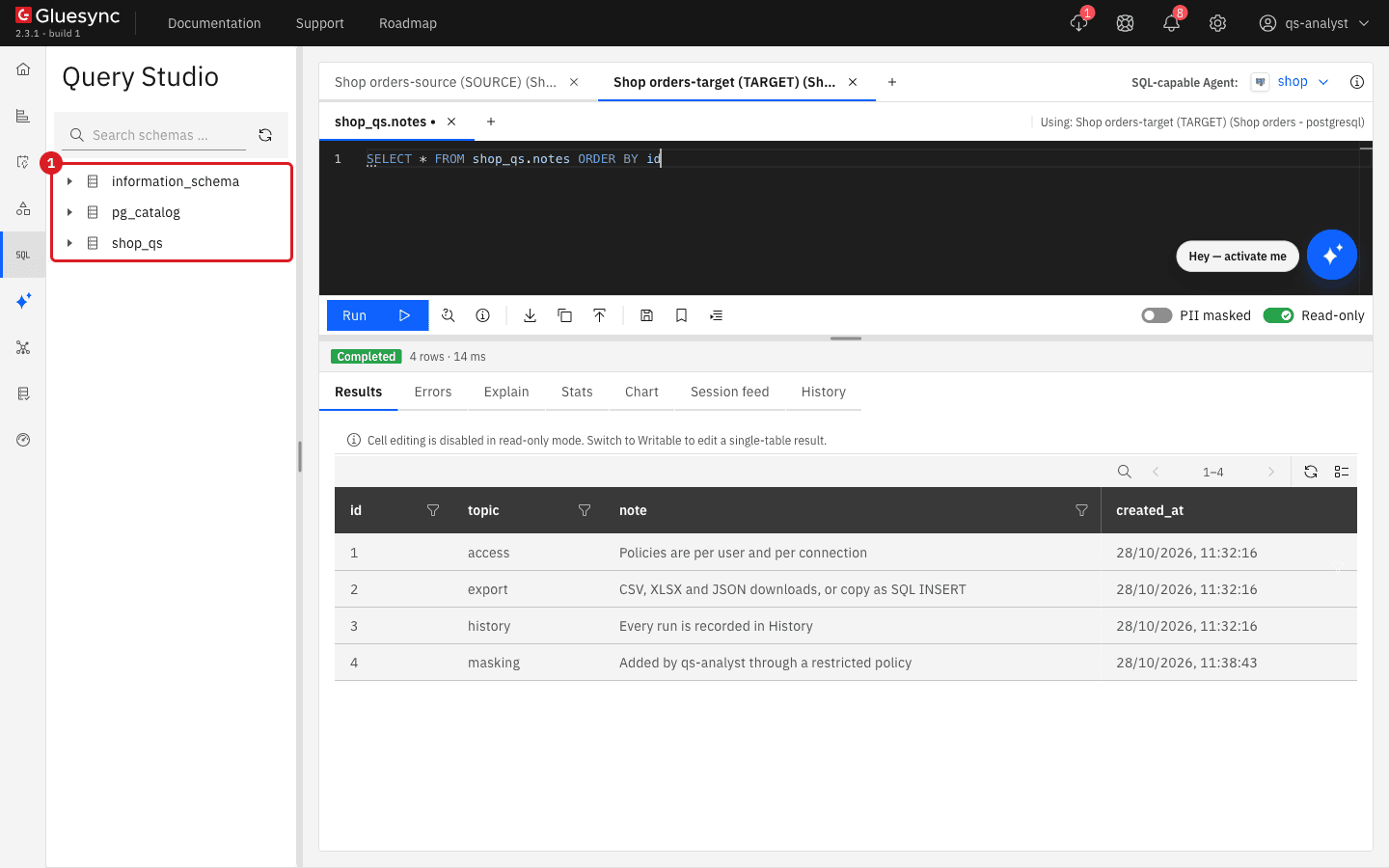Query Studio as qs-analyst on the target where the schema browser lists information_schema