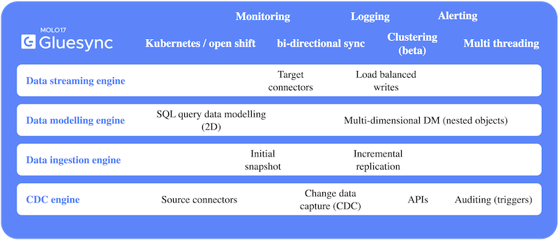 Gluesync’s functional architecture diagram